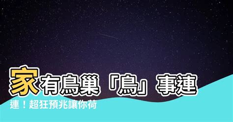 家裡窗戶有鳥巢|【家有鳥巢】家有鳥巢，居家風水亨通！揭開野鳥築巢。